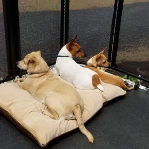 Meet your Posher, Lori